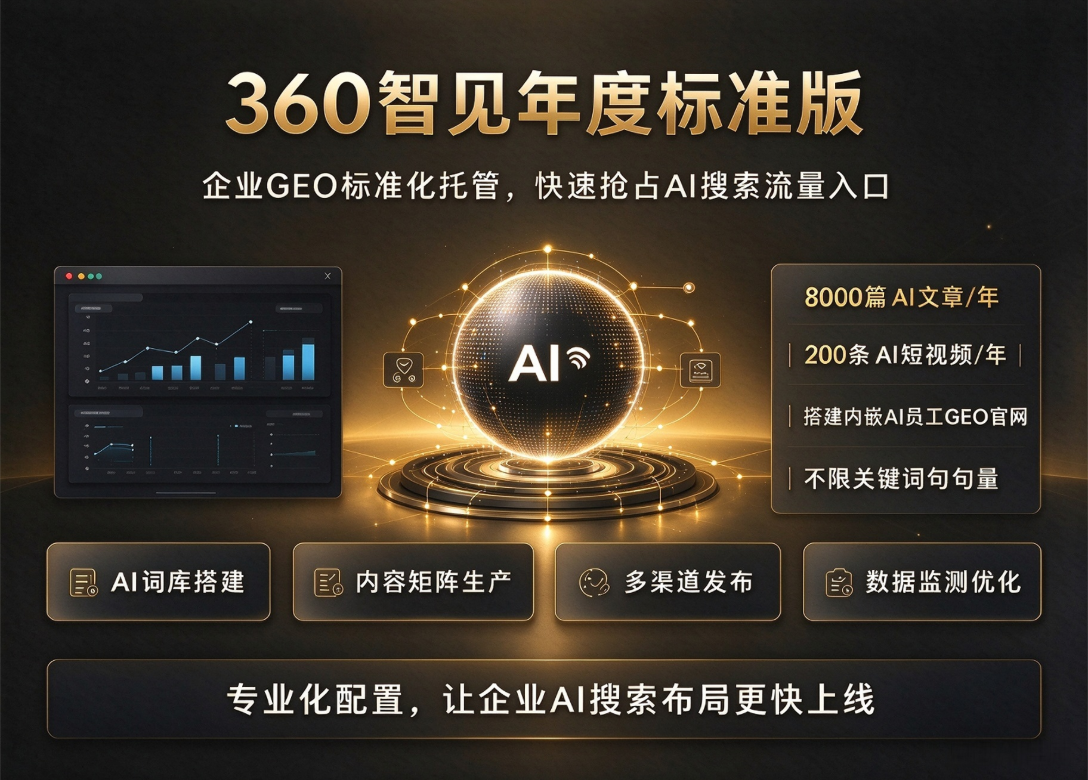 360智见年度标准版服务图片
